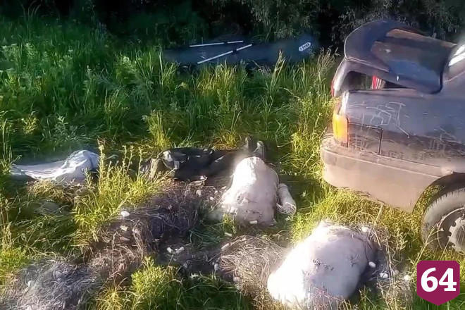 В Саратовской области у двух браконьеров изъяли 129 килограммов рыбы